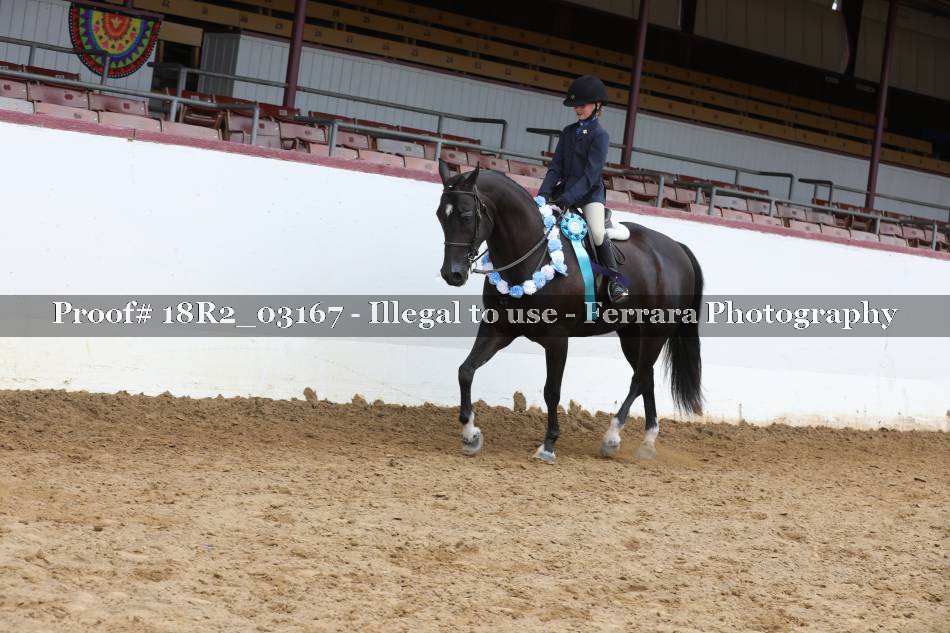 Proof Number 18R2_03167