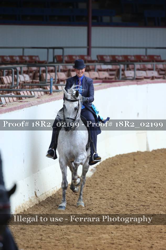 Proof Number 18R2_02199