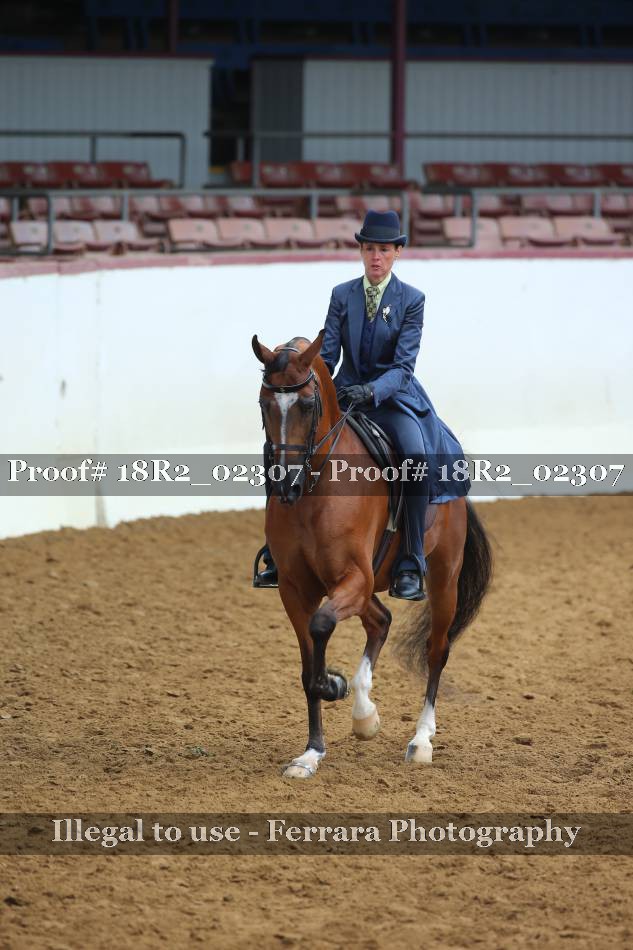 Proof Number 18R2_02307