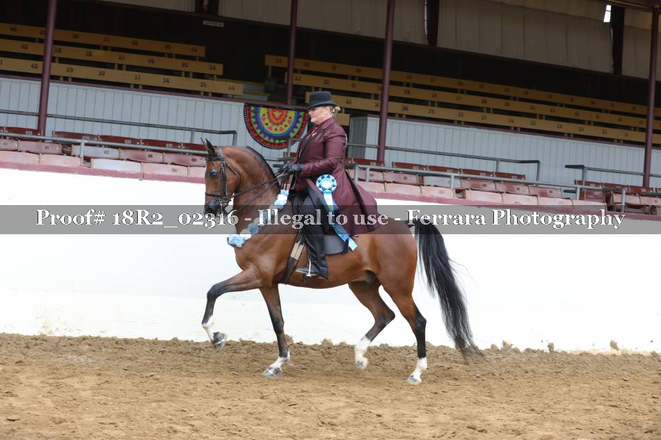 Proof Number 18R2_02316