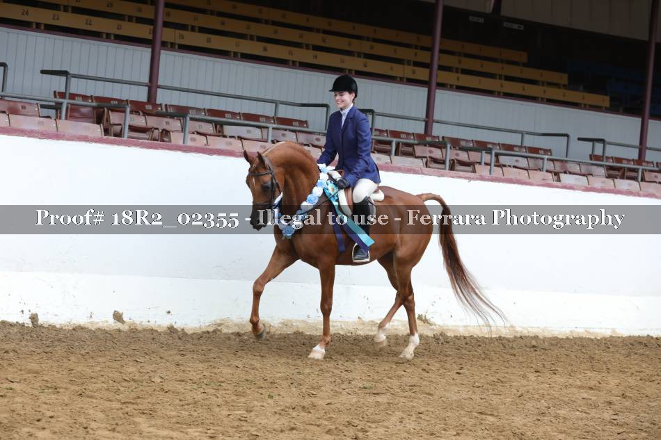 Proof Number 18R2_02355