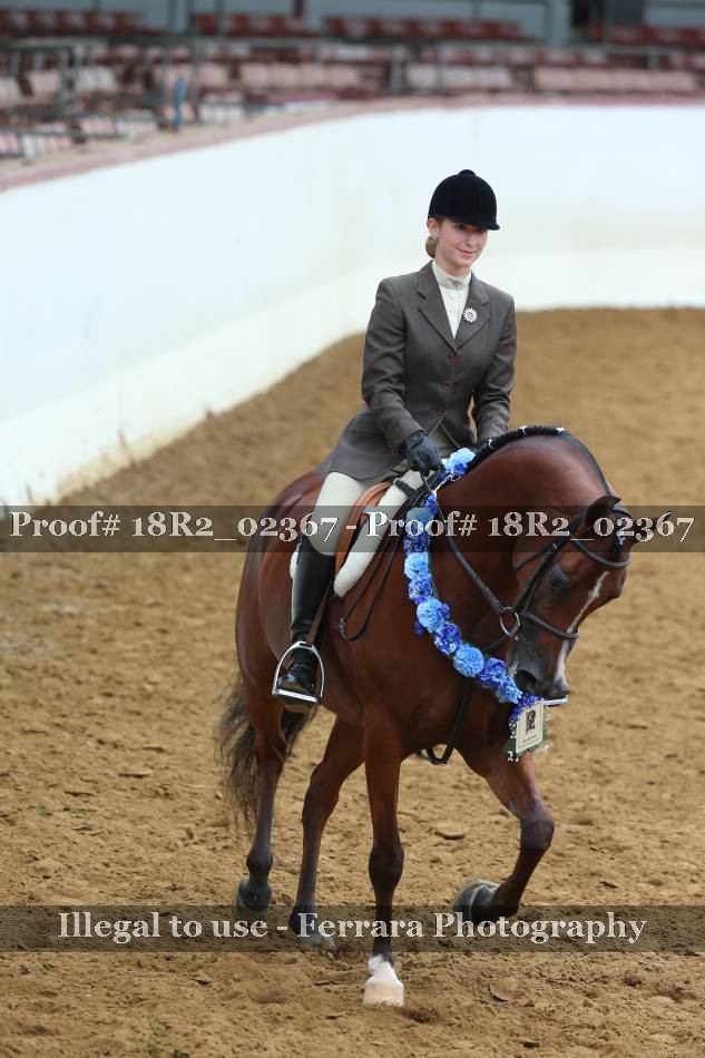 Proof Number 18R2_02367