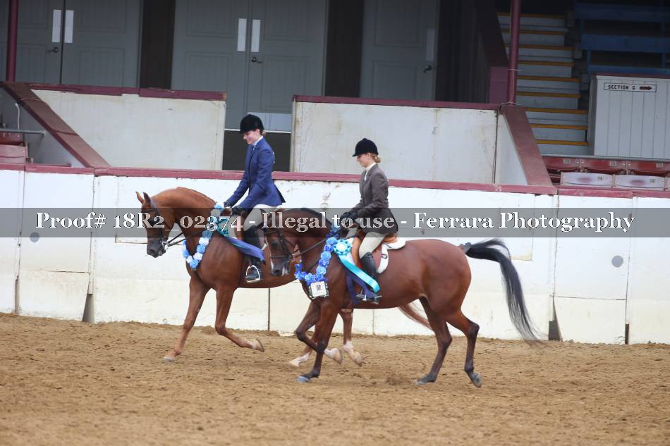 Proof Number 18R2_02374