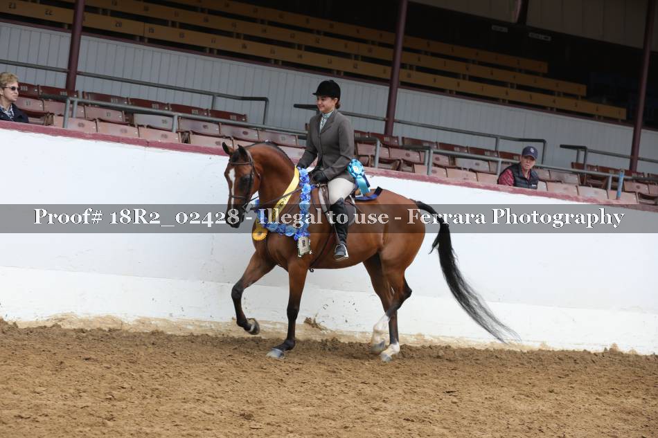 Proof Number 18R2_02428