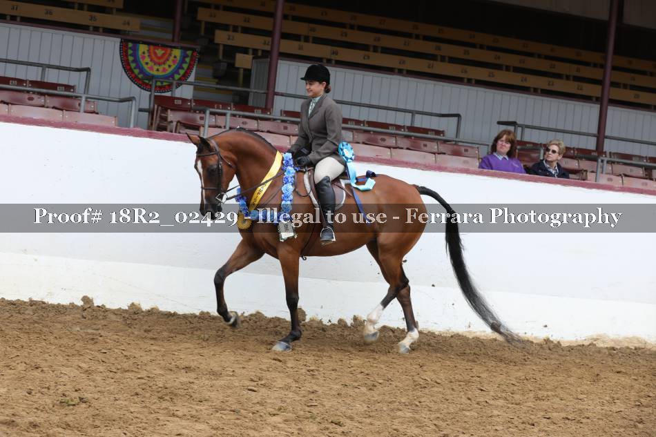 Proof Number 18R2_02429