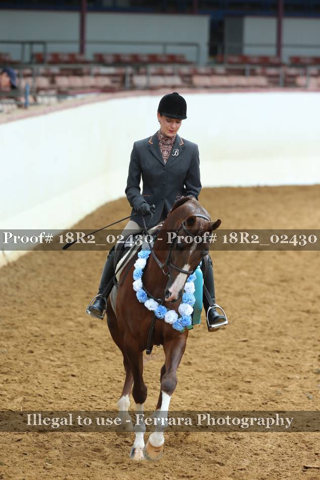 Proof Number 18R2_02430