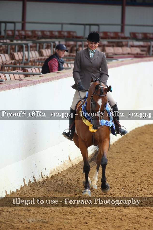 Proof Number 18R2_02434