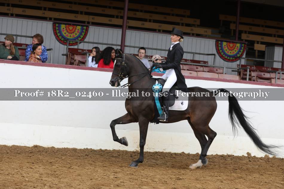 Proof Number 18R2_02460