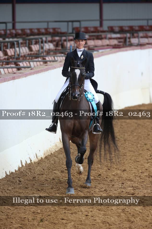 Proof Number 18R2_02463