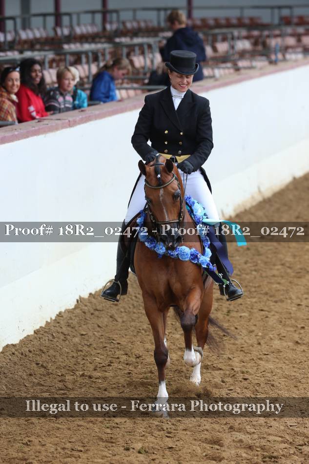 Proof Number 18R2_02472