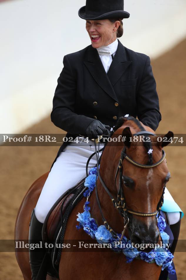 Proof Number 18R2_02474