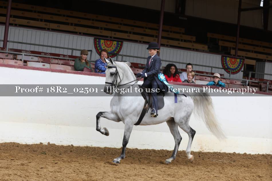 Proof Number 18R2_02501