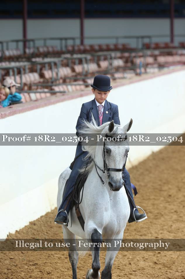 Proof Number 18R2_02504