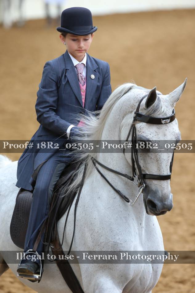 Proof Number 18R2_02505