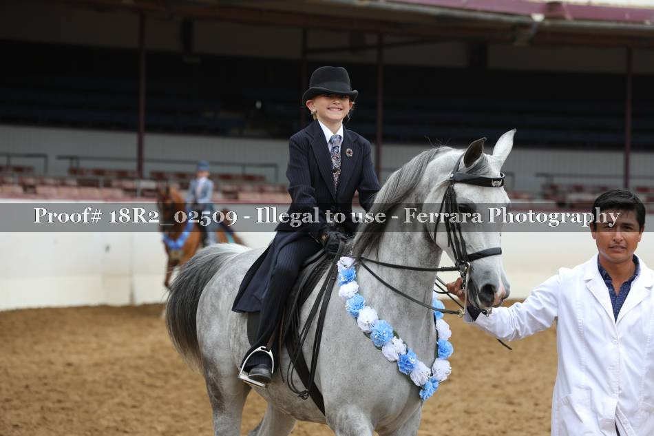 Proof Number 18R2_02509