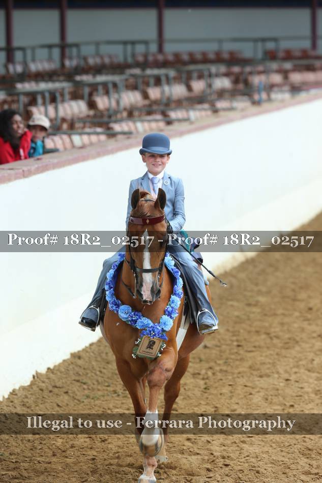 Proof Number 18R2_02517
