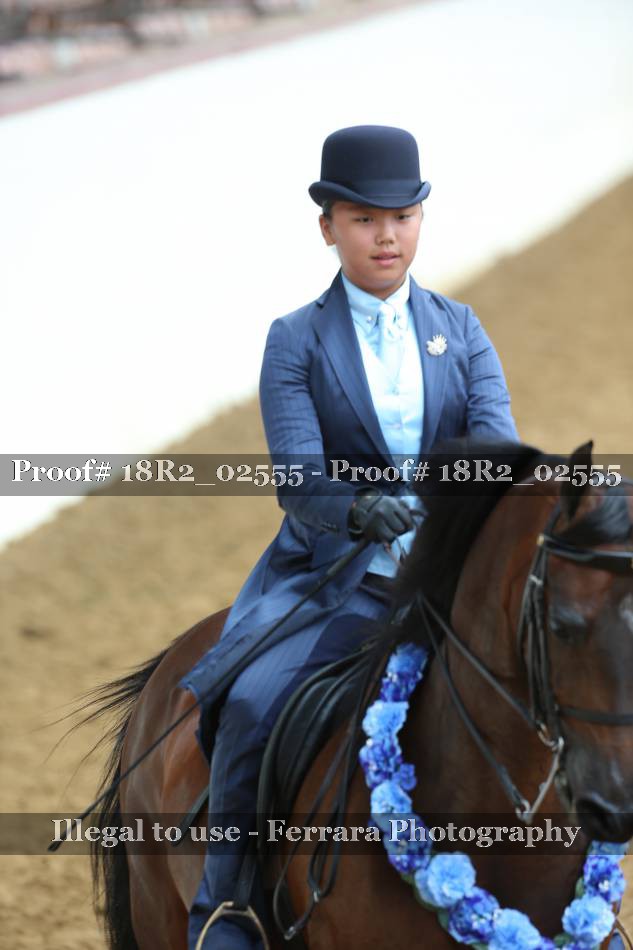 Proof Number 18R2_02555