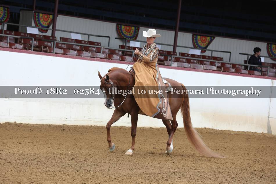Proof Number 18R2_02584