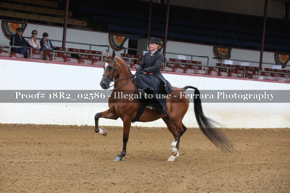 Proof Number 18R2_02586