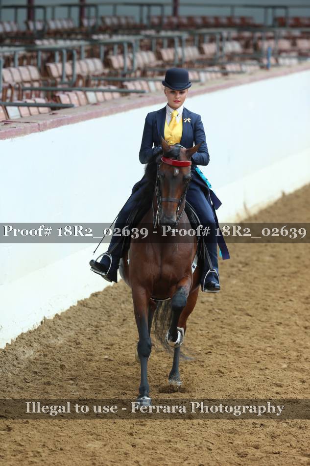 Proof Number 18R2_02639