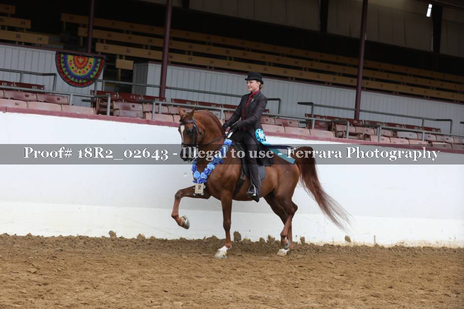Proof Number 18R2_02643
