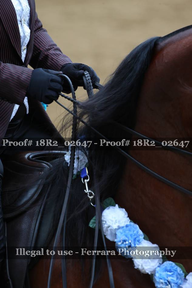 Proof Number 18R2_02647