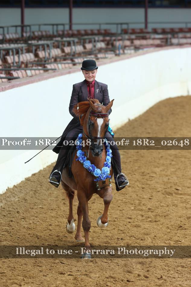 Proof Number 18R2_02648
