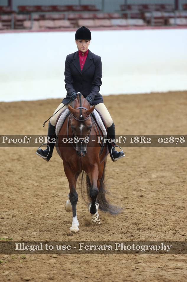 Proof Number 18R2_02878