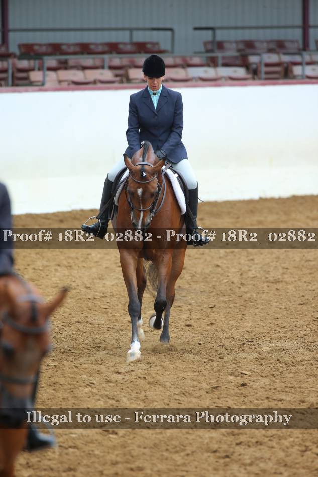Proof Number 18R2_02882