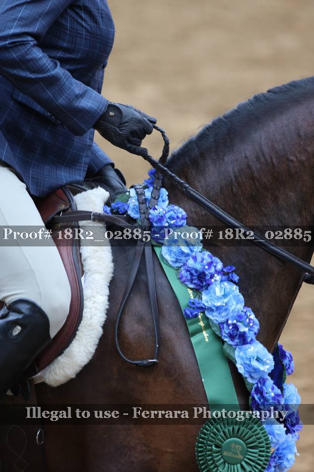 Proof Number 18R2_02885