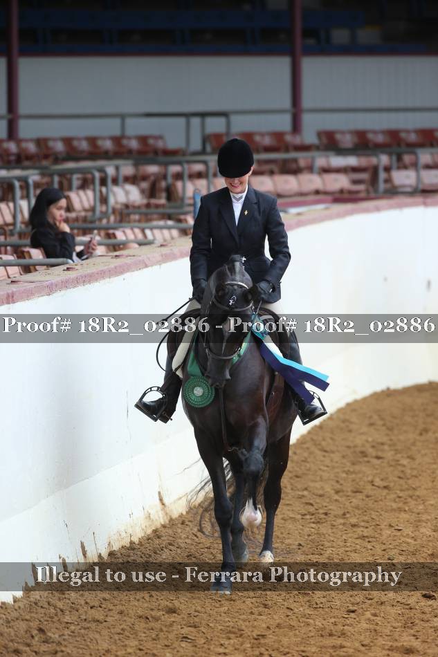 Proof Number 18R2_02886