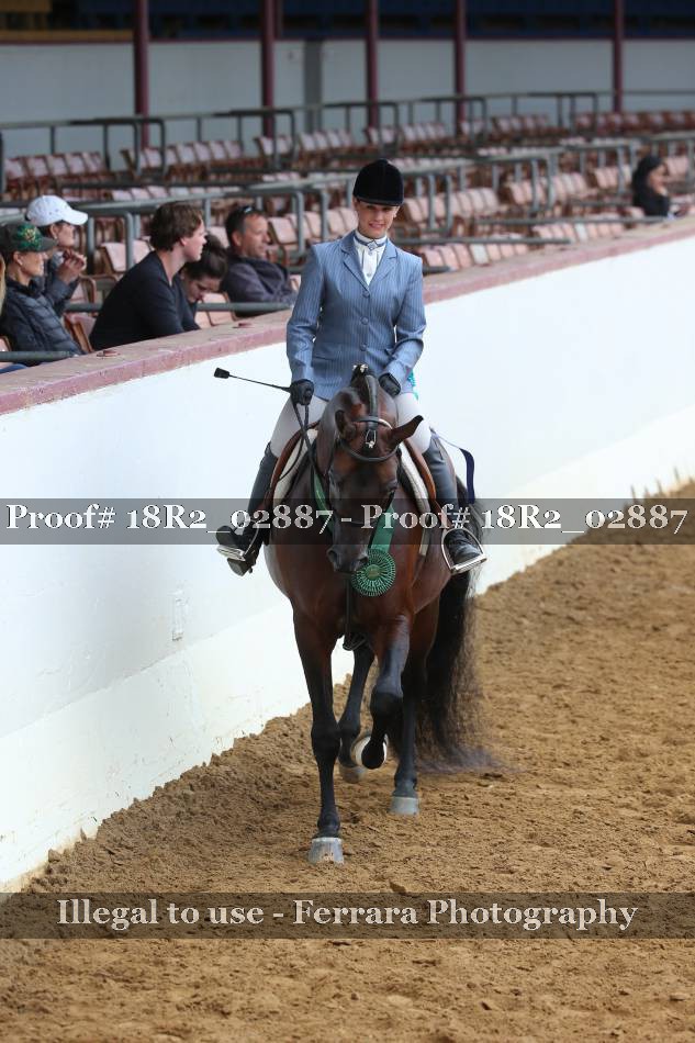 Proof Number 18R2_02887