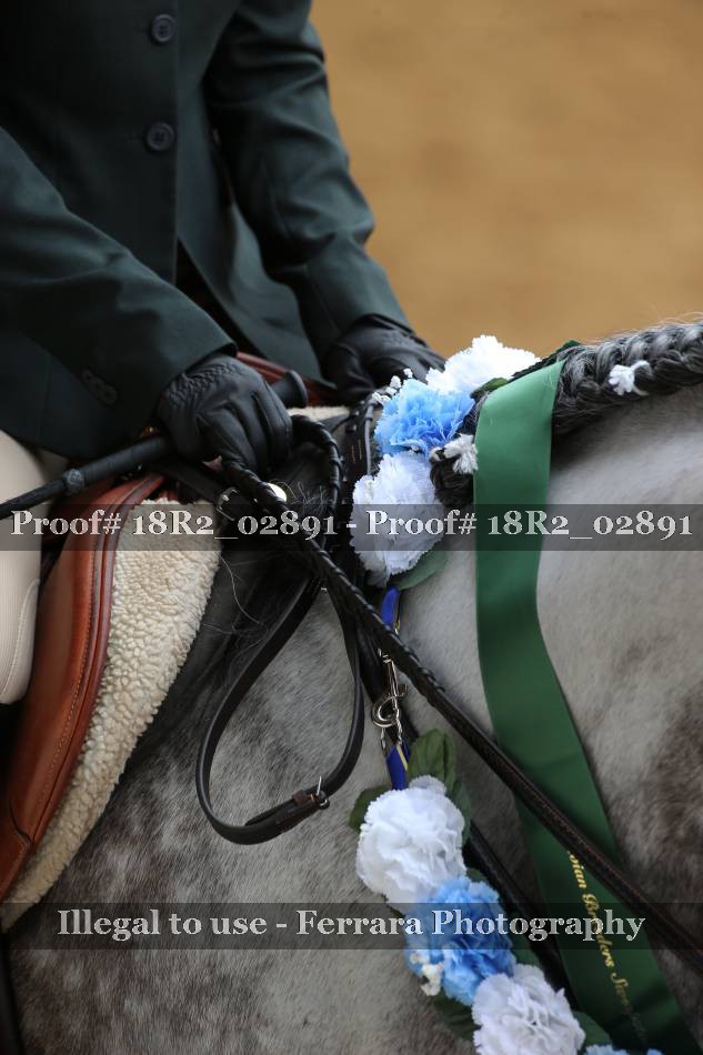 Proof Number 18R2_02891