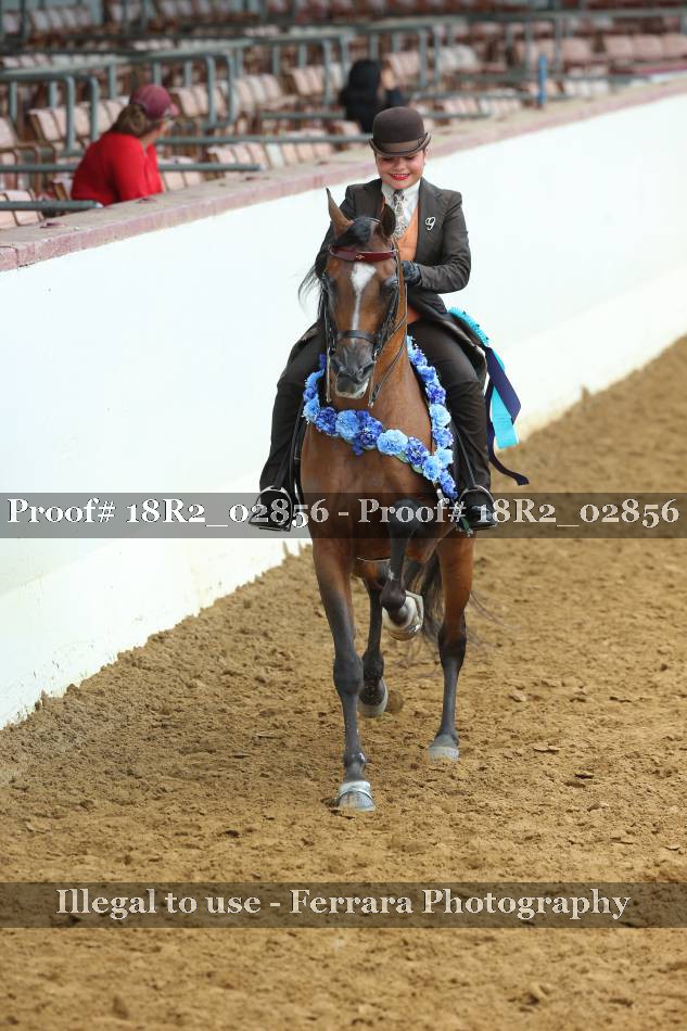 Proof Number 18R2_02856