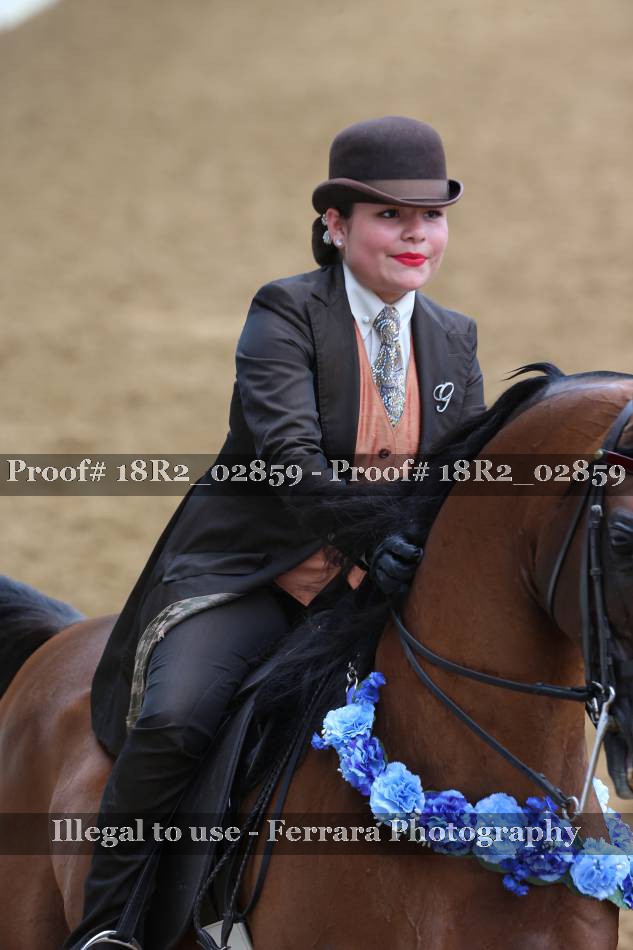 Proof Number 18R2_02859
