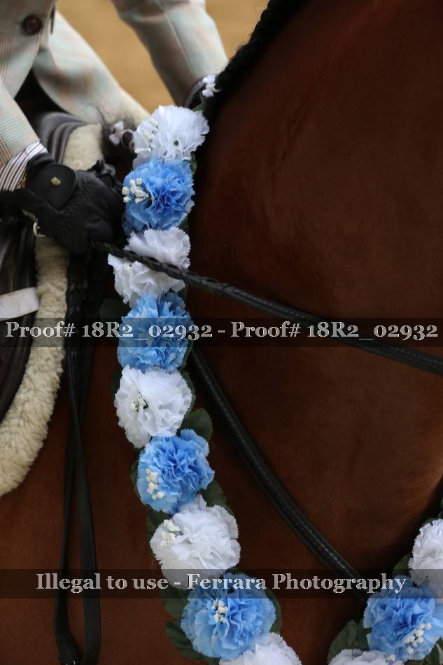 Proof Number 18R2_02932