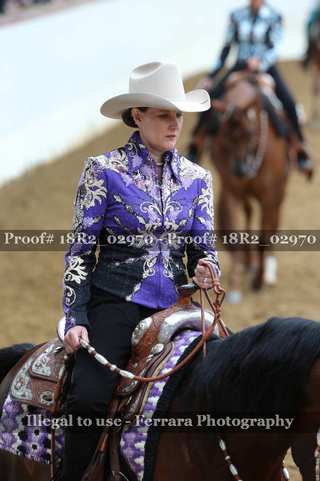 Proof Number 18R2_02970