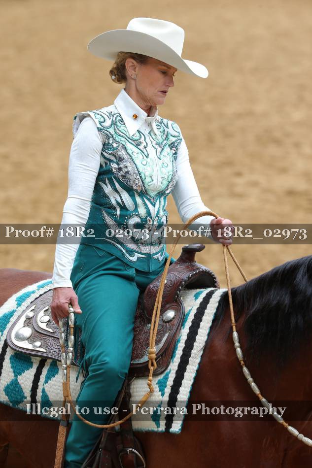 Proof Number 18R2_02973