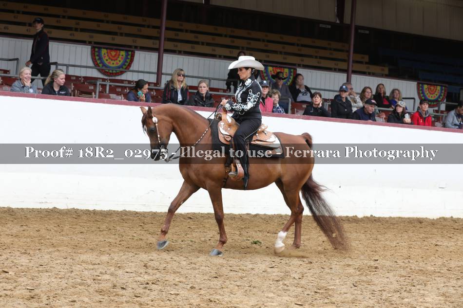 Proof Number 18R2_02975