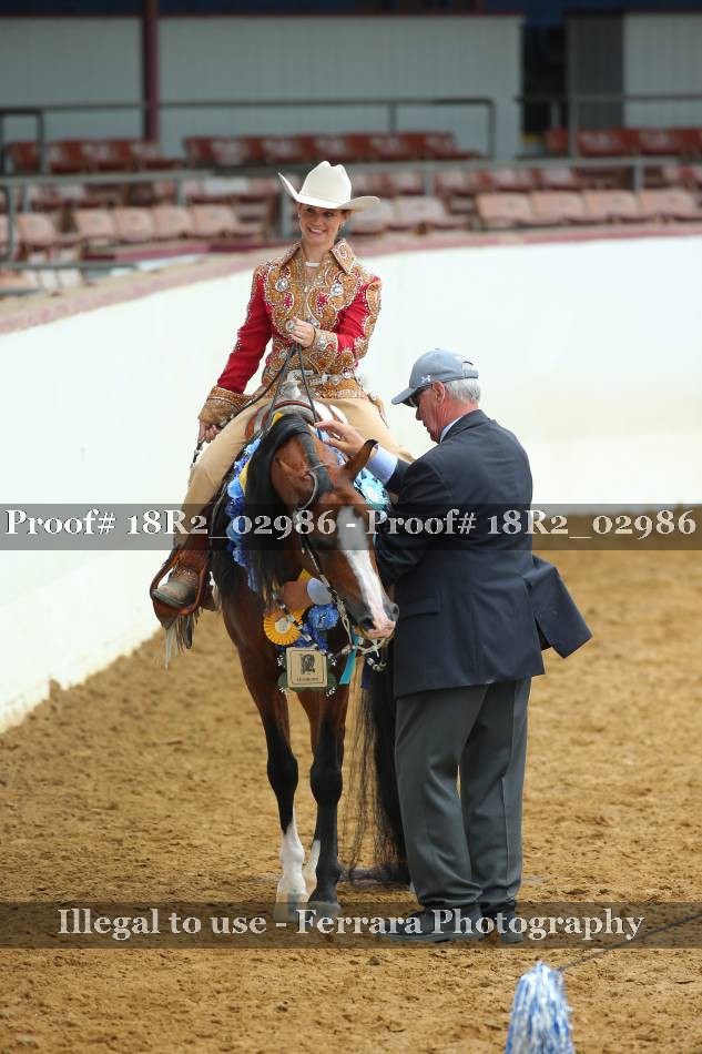 Proof Number 18R2_02986