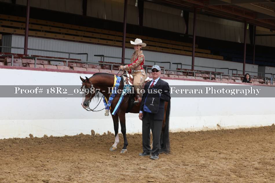 Proof Number 18R2_02987