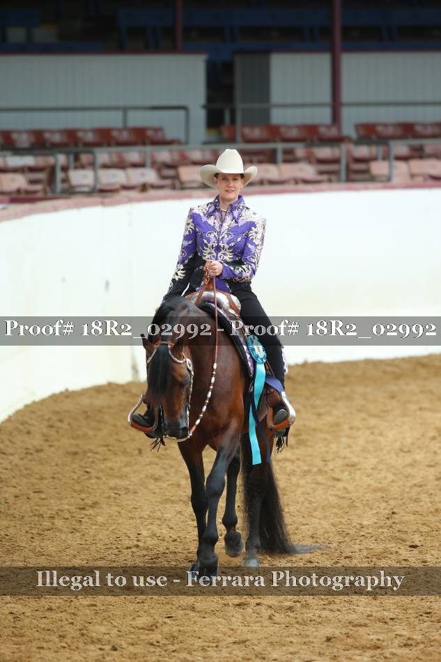 Proof Number 18R2_02992