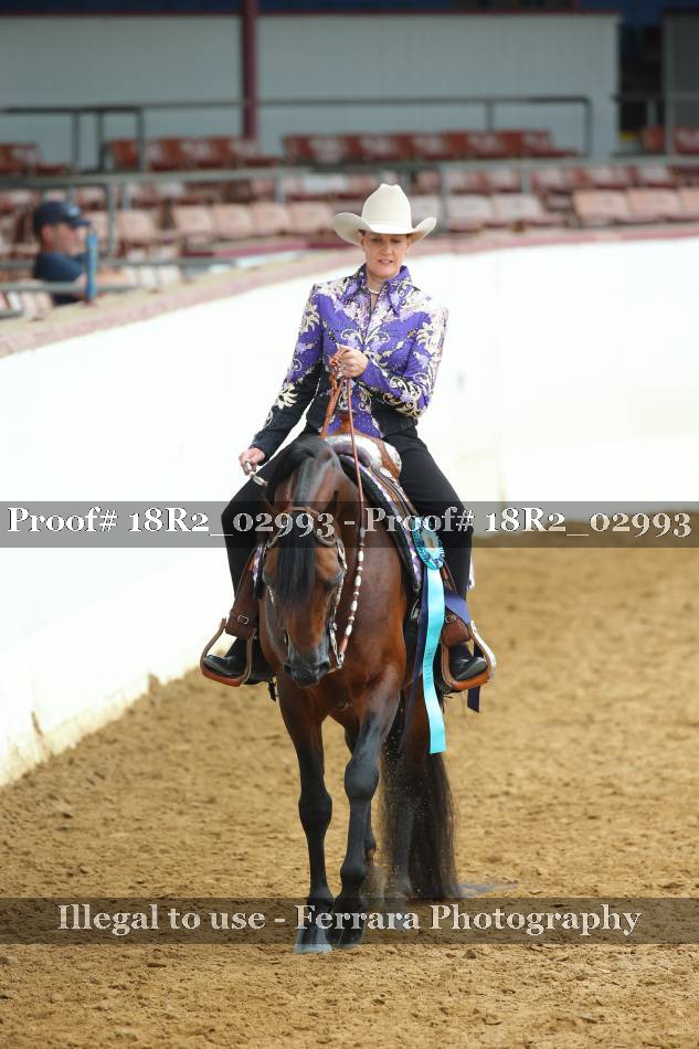 Proof Number 18R2_02993