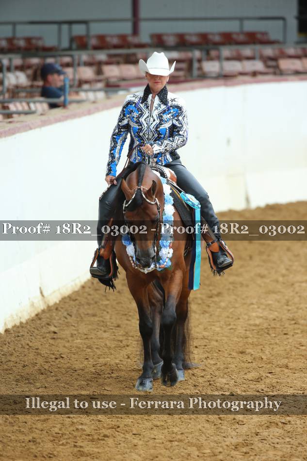 Proof Number 18R2_03002