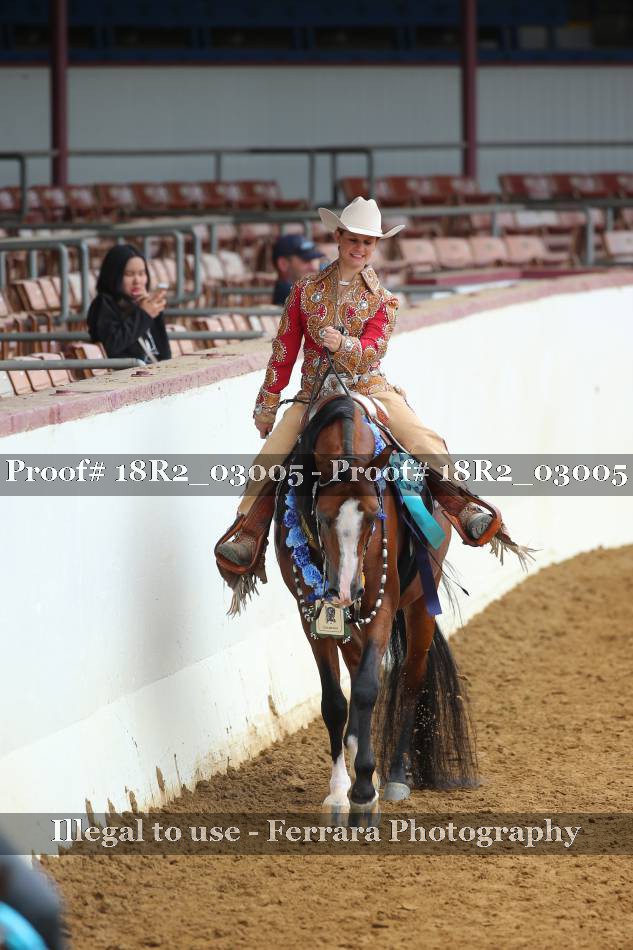 Proof Number 18R2_03005