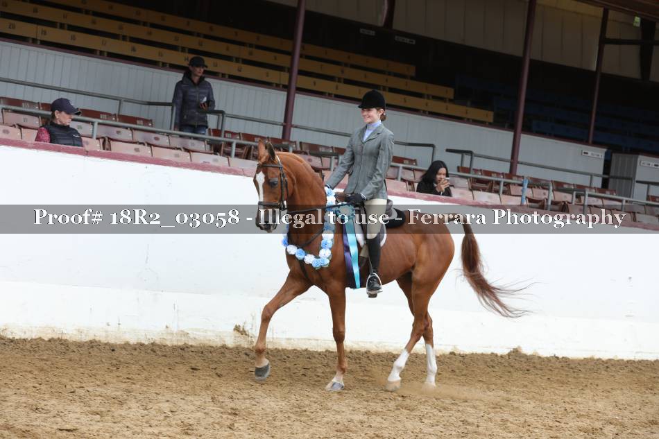 Proof Number 18R2_03058