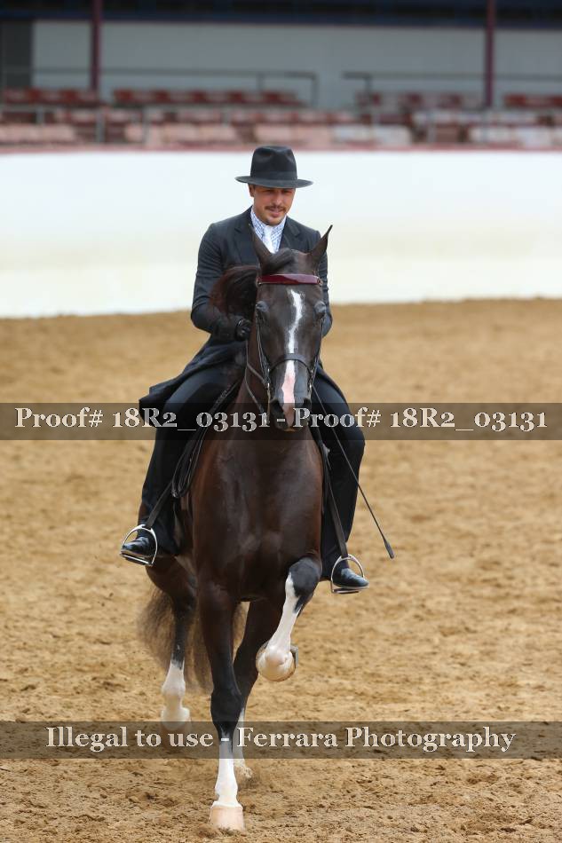 Proof Number 18R2_03131