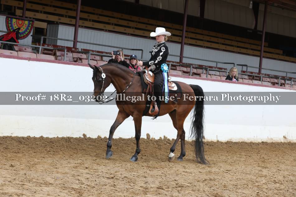 Proof Number 18R2_03202