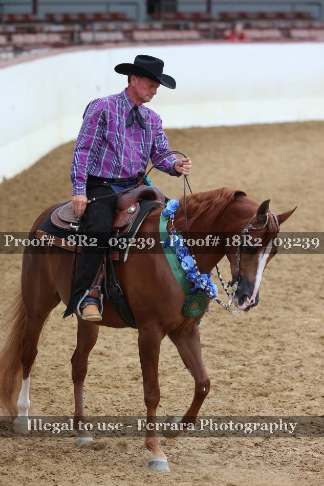 Proof Number 18R2_03239