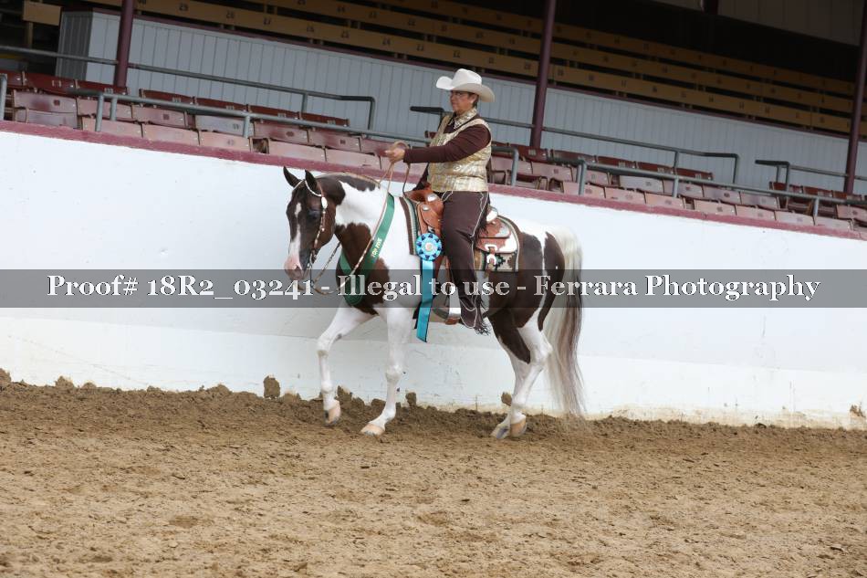 Proof Number 18R2_03241